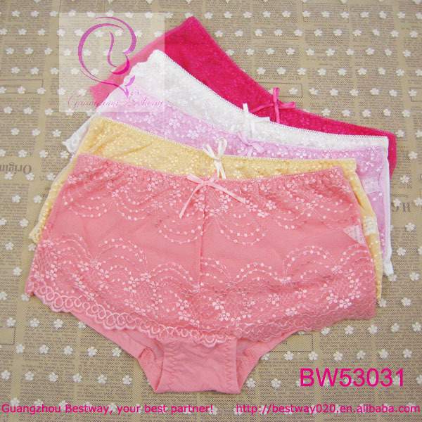 Free shipping 10pcs packed sexy ladies sexy charming fashion underwear front transparent floral lace&bow bamboo fabric back