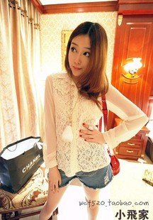 Free shipping 2011 new chiffon blouse,long sleeve lace blouses,Wholesale/Retail