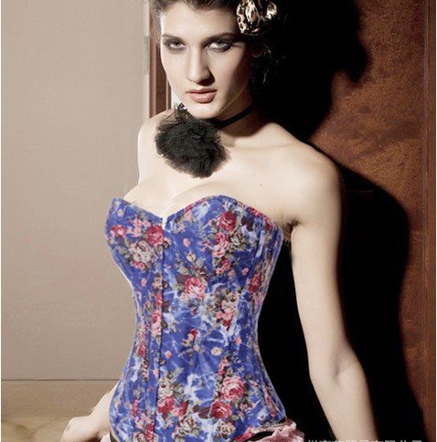 Free Shipping 2012 Fashion Sexy Cheap Bows Strapless Corset Costume Lingeries Woman Corsets Bustiers Underwear Wholesale
