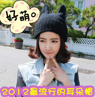 free shipping 2012 hat male women's devil horn knitted hat cat ears neon hat knitted hat