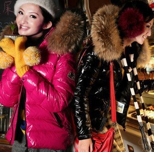 Free shipping 2012 New style warm ladies' Coat down Jackets