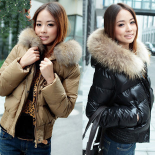 free shipping! 2012 ultralarge raccoon fur short female down coat outerwear ladies'down jacket fashion style Popular