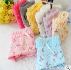 Free Shipping 2013 New Arrival Bamboo Fiber Modal Women Panties 5Pieces/lot Women Underwear