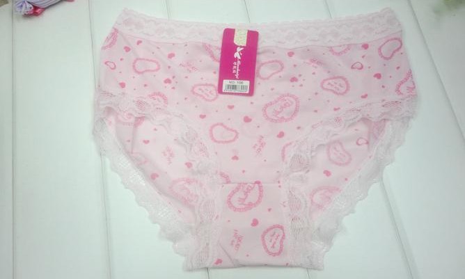 Free Shipping 2013 New Arrival pink  Lace Sexy Women Panties 10Pieces/lot Women Underwear Wholesale