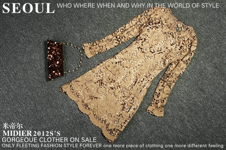 Free Shipping! 2013 spring elegant water flowers exquisite empty thread embroidery slim one-piece dress medium-long long-sleeve