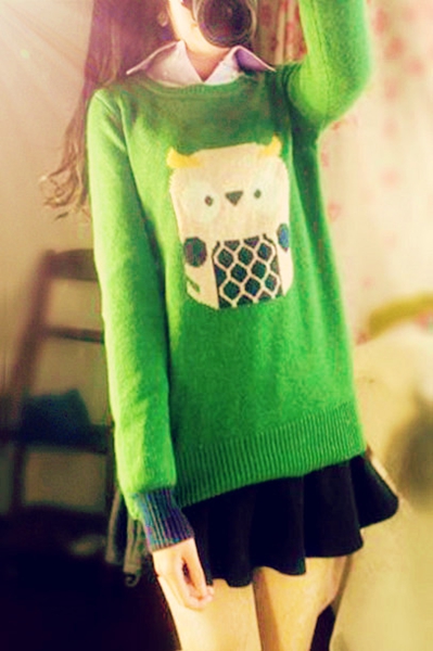 Free shipping 2013 spring fashion preppy style vintage owl animal vintage sweater pullover