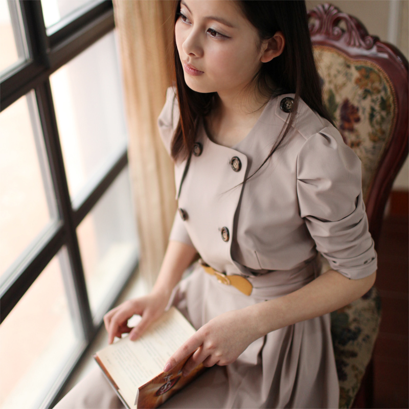 Free Shipping 2013 vintage fashion double breasted epaulette leather buckle on dr005 one-piece dress