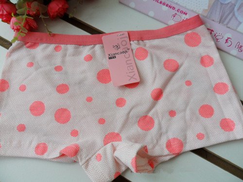 Free shipping (30pieces/lot)Wholesale big bubble cartoon ladies boxer underwear  W-019