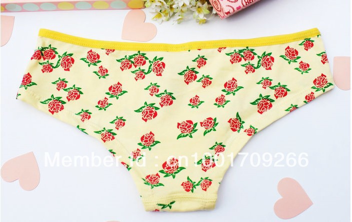 Free Shipping 4pcs/Lot  Sweet Rose Cotton Ladies Panties women's Underware RS7201