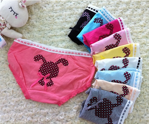 Free shipping 5 pieces/lot  Ms. lovely rabbit  panties cotton