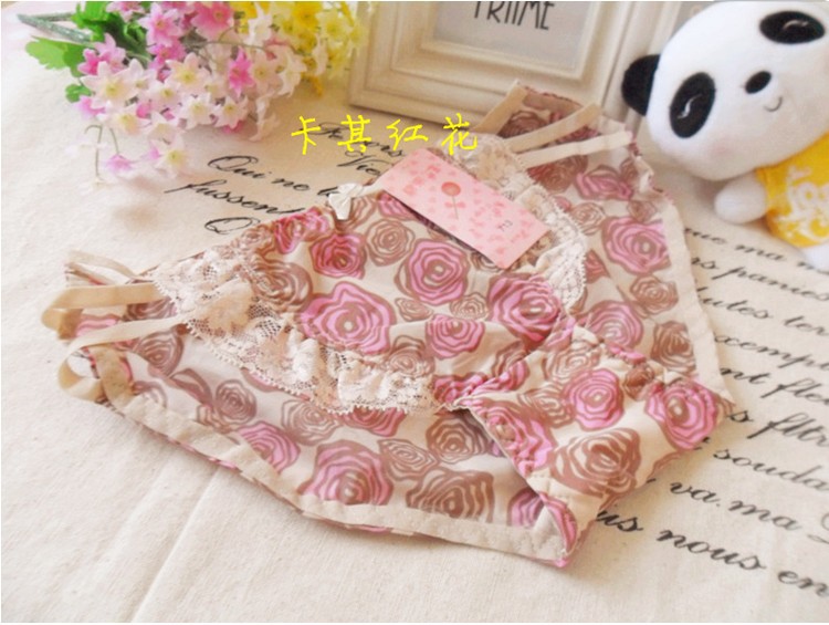 Free shipping!5pcs/lot 2013 Fashion Lace underwear women sexy
