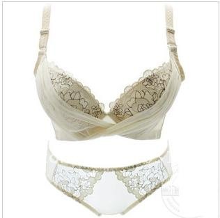 free shipping,5set/lot hotting sell High quality Fashionable weman sexy bras&Brief,Every day is  different ,send by EMS/A14