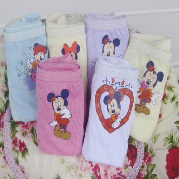 Free shipping (6 pieces/lot) Character children underwear 100% cotton briefs