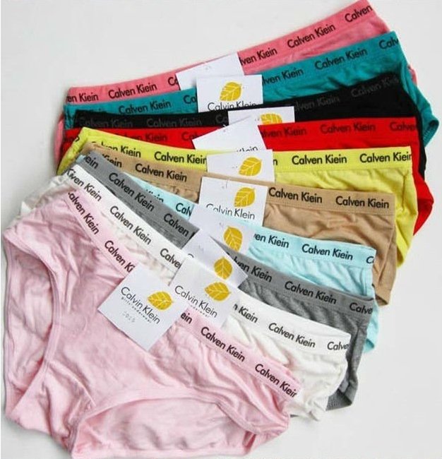 Free shipping(6pcs/lot)Hot sell lady Brifes/Modal super soft briefs/Lady sexy underwear