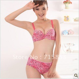 Free shipping adjustable women's bras, leopard push up brassiere, high quality, midium thick cup,A1103