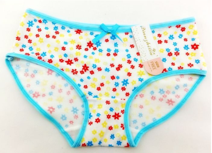 Free shipping blue Women cotton butt and hip enhancer briefs panties underwears Multi-colors 12pcs/lot Factory Directly