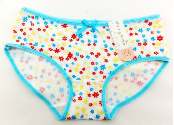 Free shipping blue Women cotton butt and hip enhancer briefs panties underwears Multi-colors 12pcs/lot Factory Directly