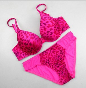 Free shipping Bra & Brief Sets lady's underwear lingerie and  leopard bras set, Sexy and Young!