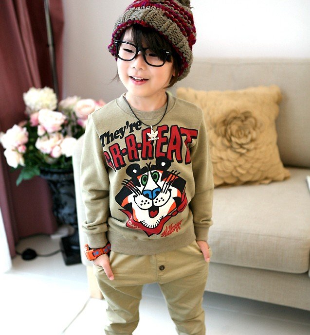 Free shipping Children Thick cotton and cashmere cartoon tiger 5pcs/lot boys girls kids hoodies KT064