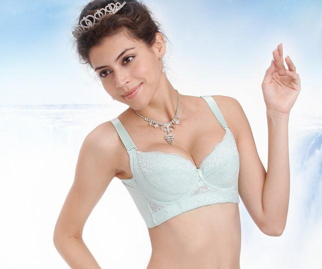 Free shipping classic five button gather charming  bra underwear
