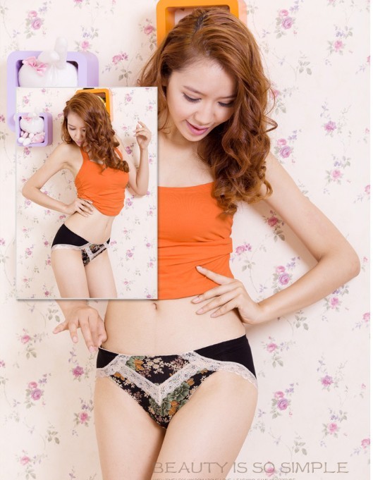 free shipping! exquisite modal lace elegant women's panties wholesale