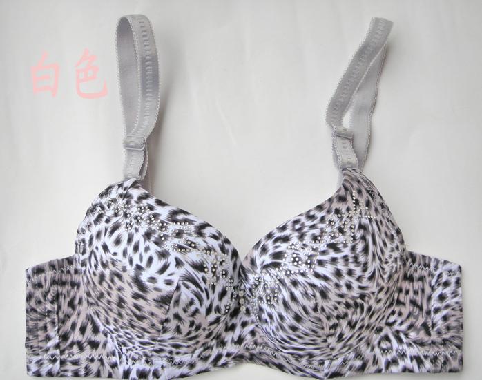 free shipping fashion leopard grain bra cover sexy ladies' underwear bra A B cup
