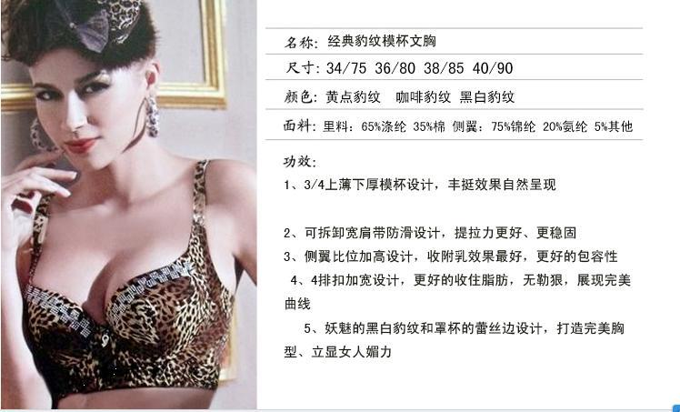 free shipping four platoon to buckle large type/fashion leopard grain bra cover sexy ladies' underwear bra CD cup together