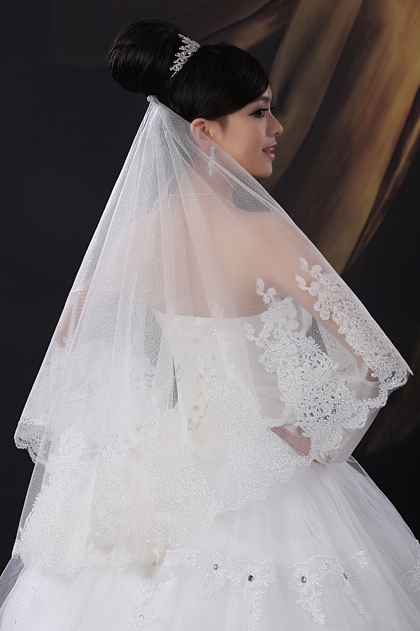 Free Shipping Gorgeous Lace Applique Tulle Bridal Accessories Wedding Veils
