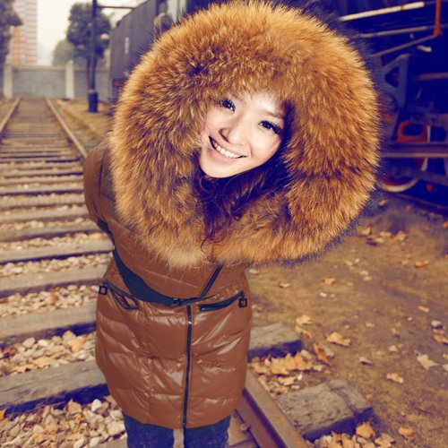 Free Shipping! High-end Customization Raccoon fur Fashion Women Down Jackets Coats ,Three Colors, Black, Orange, Brown, GRYR08
