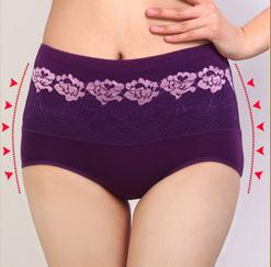 free shipping/ High Quality  women's Panties floral Seamless Underwear/high Waist corset body shaper lace&mesh 10pcs