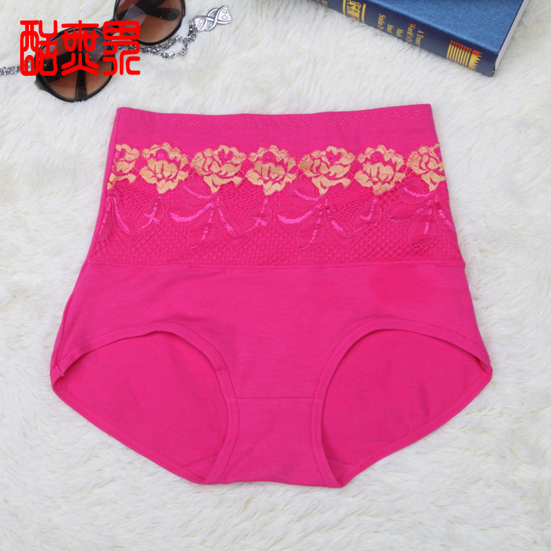 FREE SHIPPING High waist women's underwear cotton panties lace brief