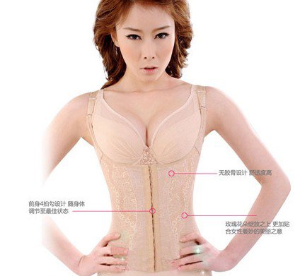 Free Shipping+Hot Sale Women Adjustable Hook Corset+ Fashion Jacquard Slim Lift Body Shaper + Ahh Bra Bustier Underwear