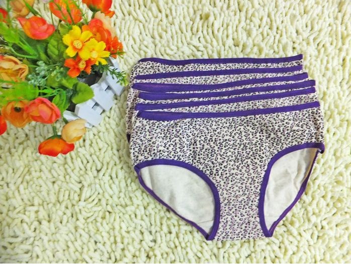 Free Shipping Hot Sales Lovely Lady's Cotton Briefs ,Leopard Women Panties ,Wholesale Free Size