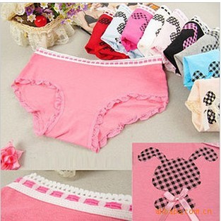 Free shipping,hot sell,lovely rabbit printed lace lady's briefs,Bowknot lady's cotton underwear,women's panties 10pcs/lot