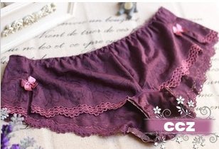 Free Shipping  Lace Women's underwear Vintage Embroidery Jacquard Sexy Underwear Hollow and Transparent Low Waist Charming