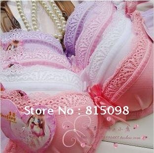free shipping ladies'bras&push up bras Hot sale 2012 lace brassiere
