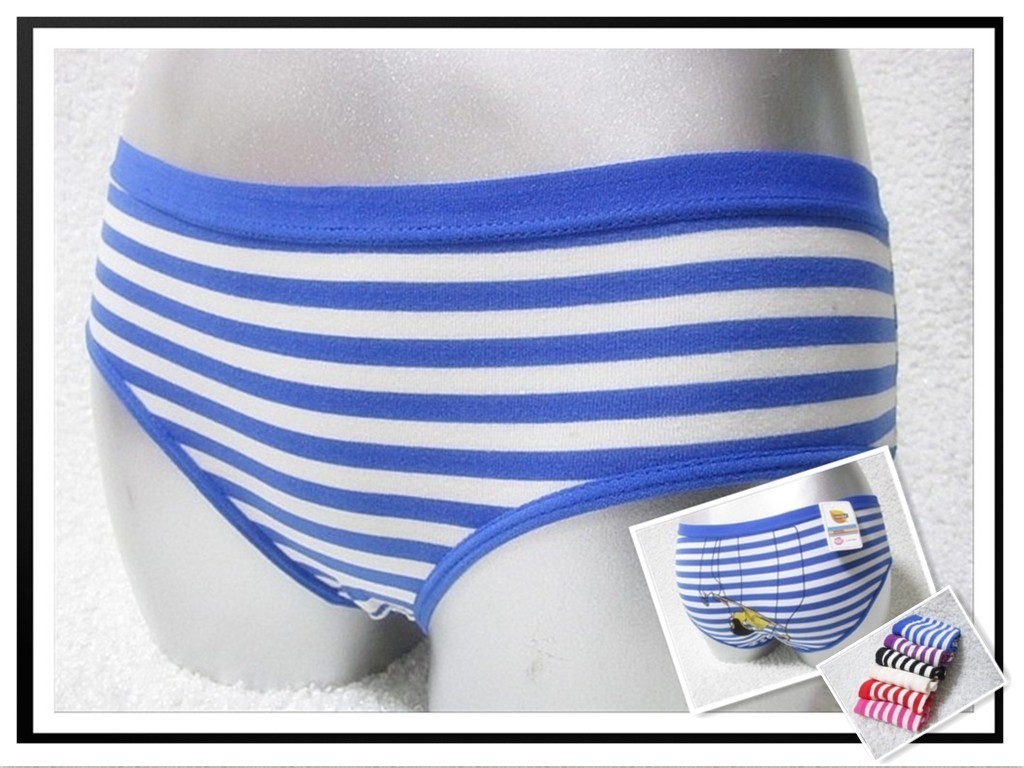 free shipping ladies's Panty modal sexy antibiotic fashion stripe panties 4pcs/lot