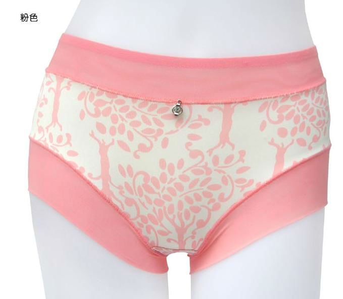 Free shipping , lady's pants, briefs, 60% bamboo fiber+ 30% cotton material, wholesale 5pcs/lot