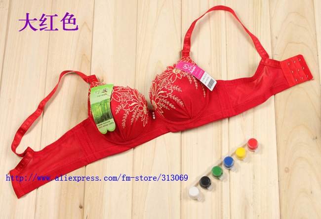 Free shipping, lady's sexy Embroidered bra, lady bra, wholesale 2pcs/lot