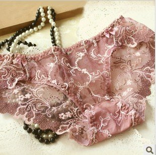 Free shipping Mei Ji high-end luxury embroidered cotton underwear briefs transparent file sexy ladies underwear