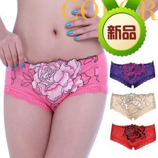 Free shipping  Modal Lady bamboo fiber underwear underwear wholesale 10PCS/LOT