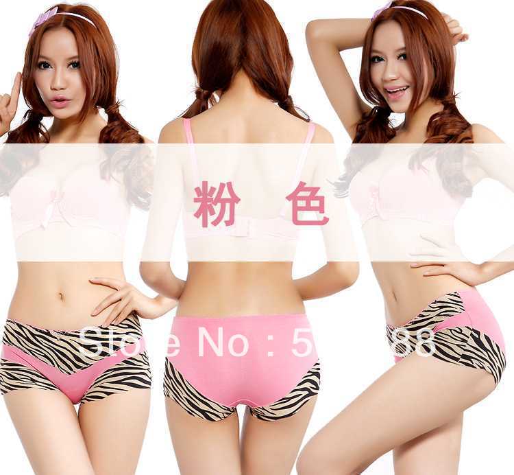 Free shipping N2070 pattern Mee four corners underwear pants upscale women's underwear holiday gift