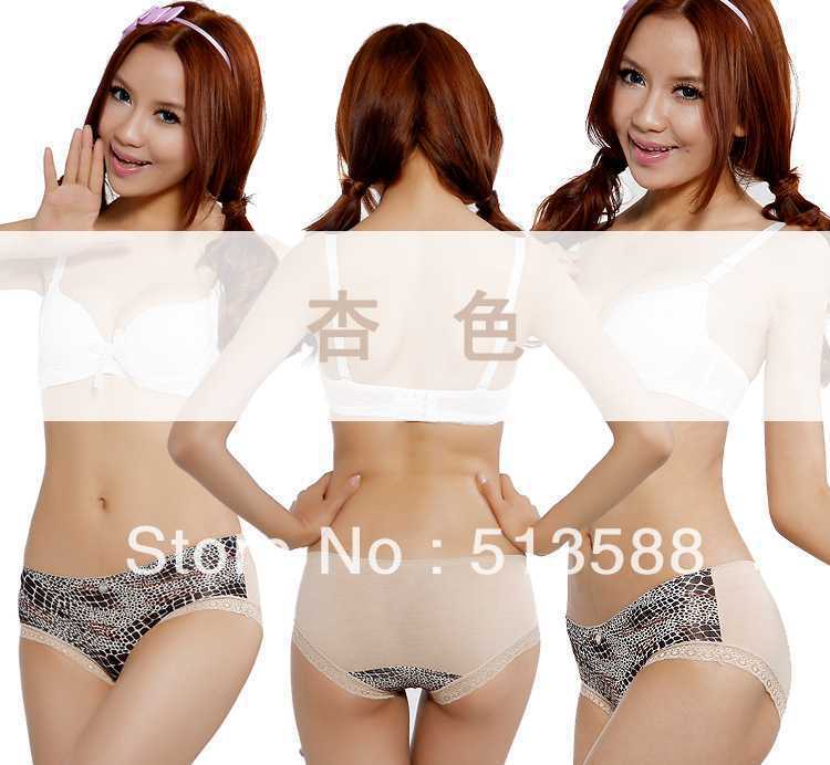 Free shipping N2075 temptation leopard shall a sexy underwear low waist briefs holiday gift