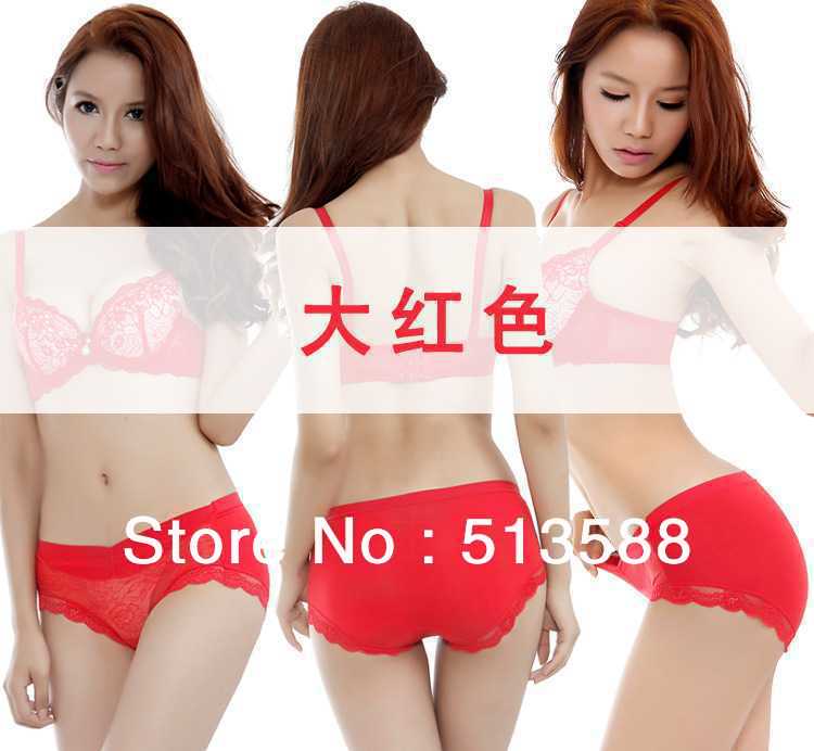 Free shipping N2079 embroidered transparent Ms. underwear women briefs boutique underwear holiday gift