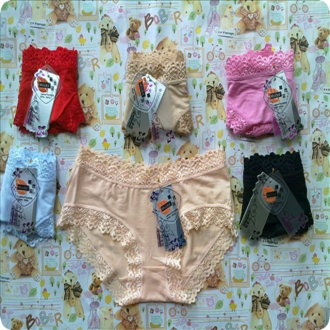 Free Shipping New Lady Women Underwear Lace Sexy Lingerie Panties Briefs Wholesale