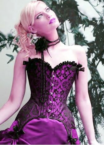 Free shipping!! Nobel Bustier with Garters sexy lingerie wholesale retail 8112