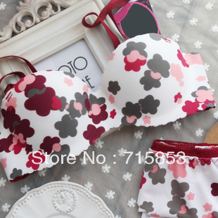 free shipping one piece seamless push up bra set underwear set seamless bra wholesale&retail