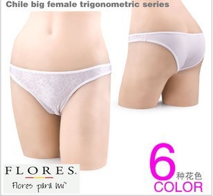 free shipping! part of the foreign trade orders FLORES  women's briefs panties wholesale