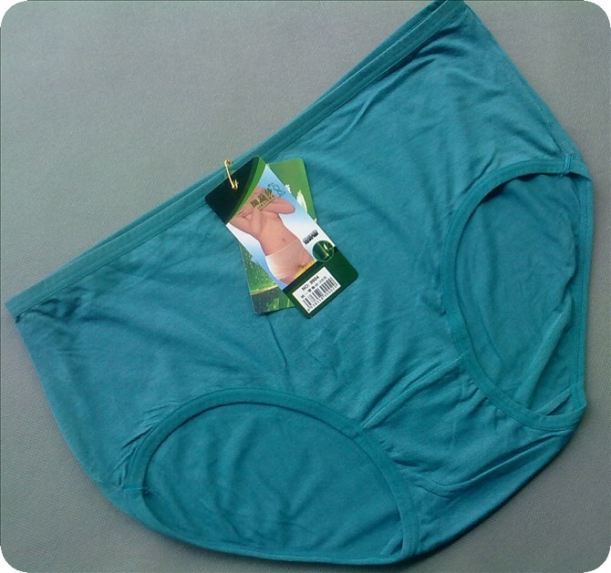 Free Shipping Plus Size Briefs For Female Women's Bamboo Fiber Panties Women Underwear 10pcs/lot