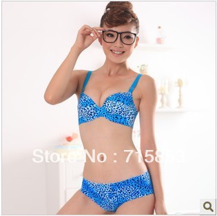 Free shipping seamless Push up bra, women's bra set,B cup, middle thick cup,A1101